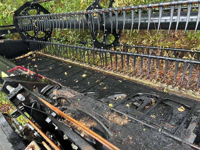 Document generated on 9/25/2025 11:53:07 AM