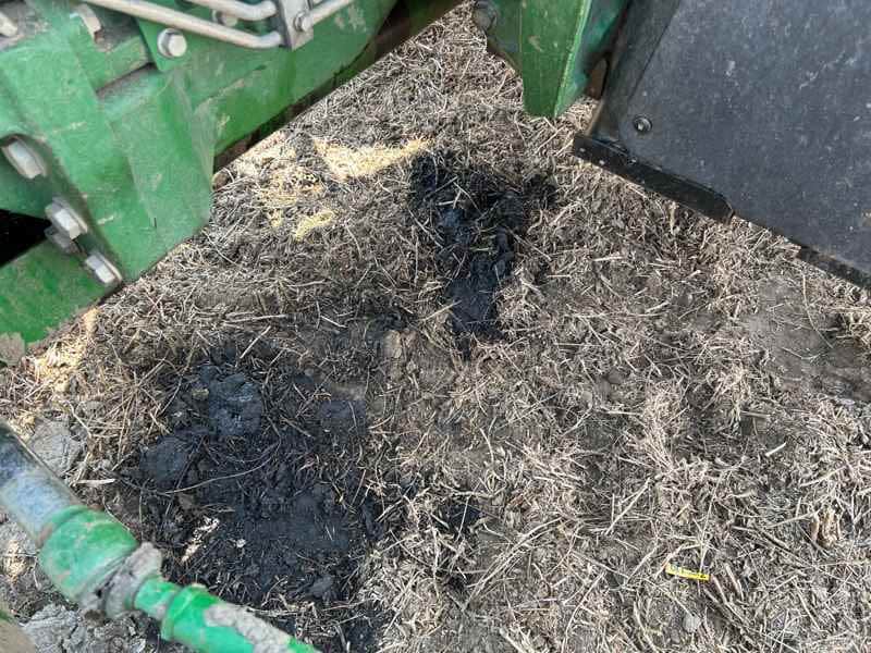 Document generated on 10/10/2025 10:31:40 AM