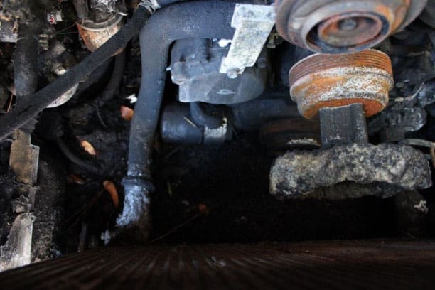 Document generated on 11/13/2025 8:47:17 AM