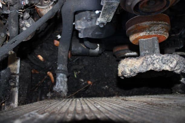 Document generated on 11/13/2025 8:47:17 AM