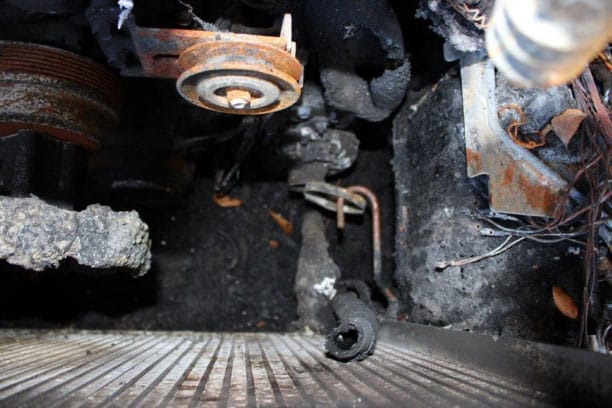 Document generated on 11/13/2025 8:47:17 AM