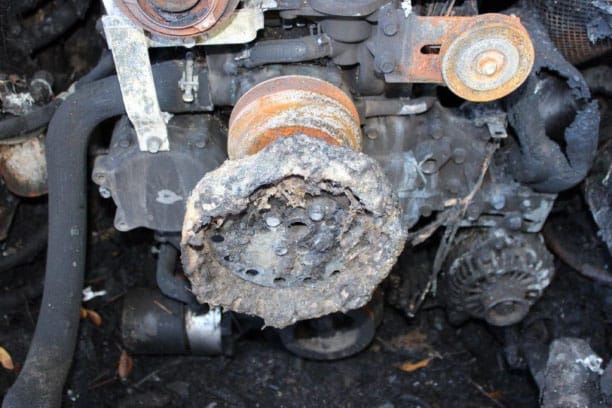 Document generated on 11/13/2025 8:47:17 AM