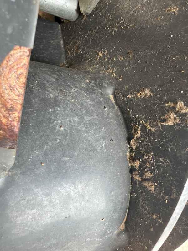 Document generated on 11/24/2025 1:23:58 PM