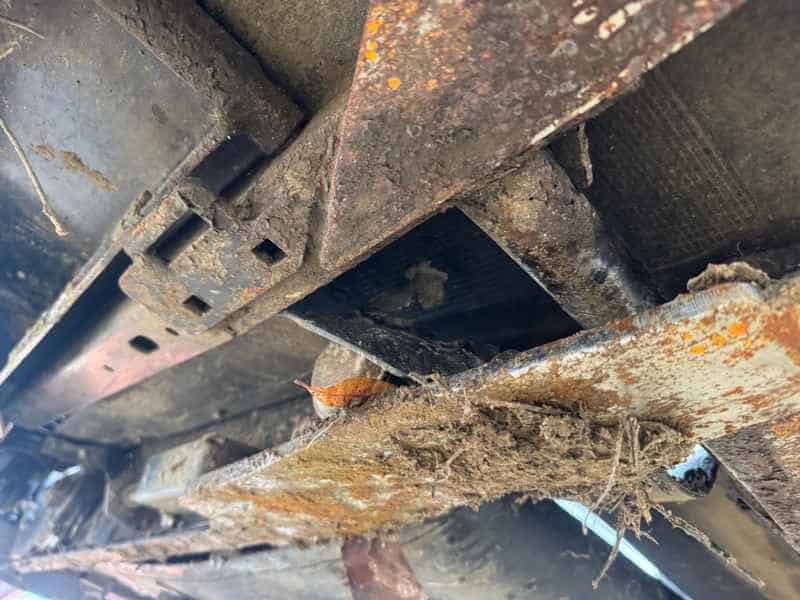 Document generated on 12/4/2025 12:33:31 PM