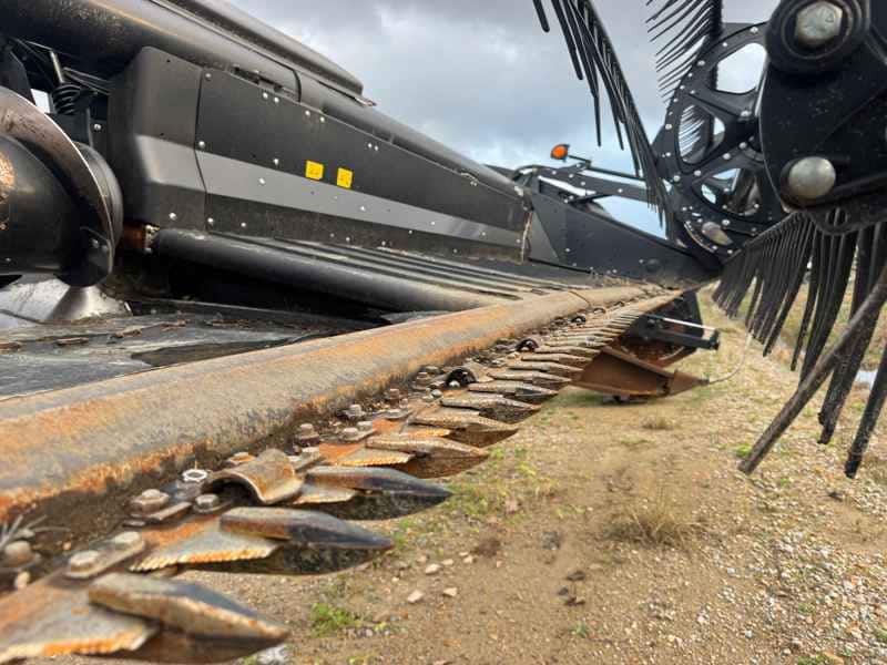 Document generated on 12/4/2025 12:33:31 PM