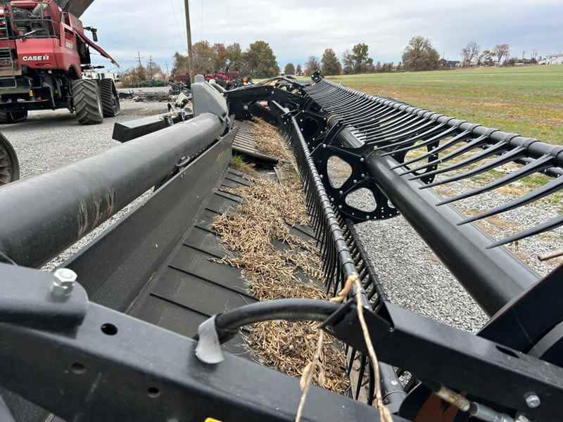 Document generated on 11/18/2025 12:37:16 PM