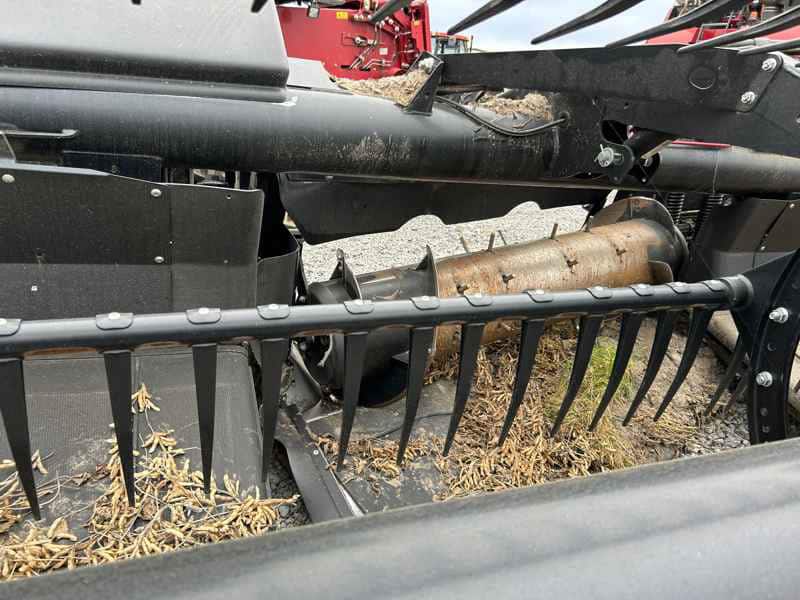 Document generated on 11/18/2025 12:37:16 PM