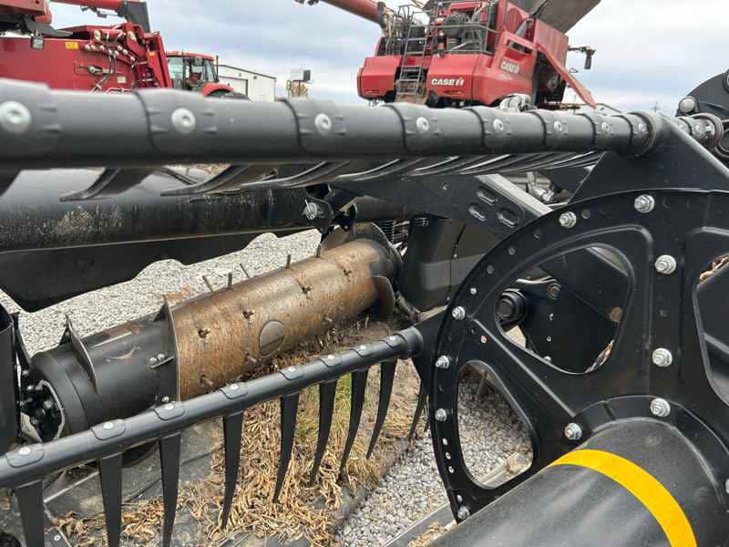 Document generated on 11/18/2025 12:37:16 PM