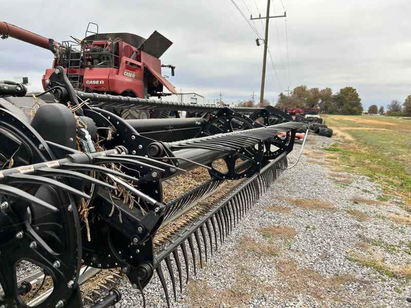 Document generated on 11/18/2025 12:37:16 PM