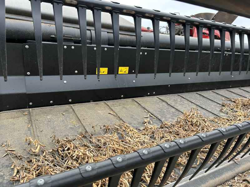 Document generated on 11/18/2025 12:37:16 PM