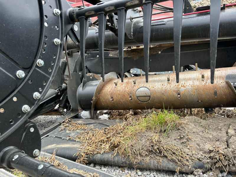 Document generated on 11/18/2025 12:37:16 PM