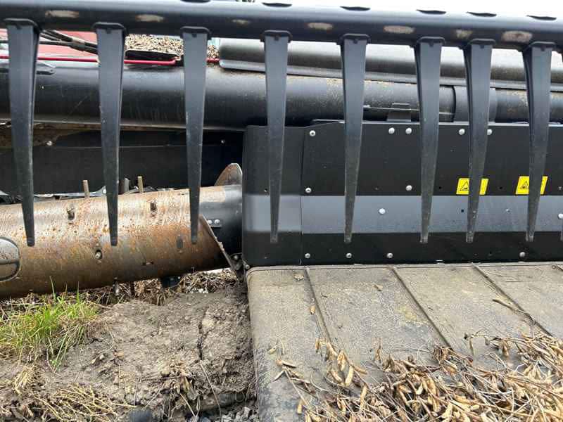 Document generated on 11/18/2025 12:37:16 PM