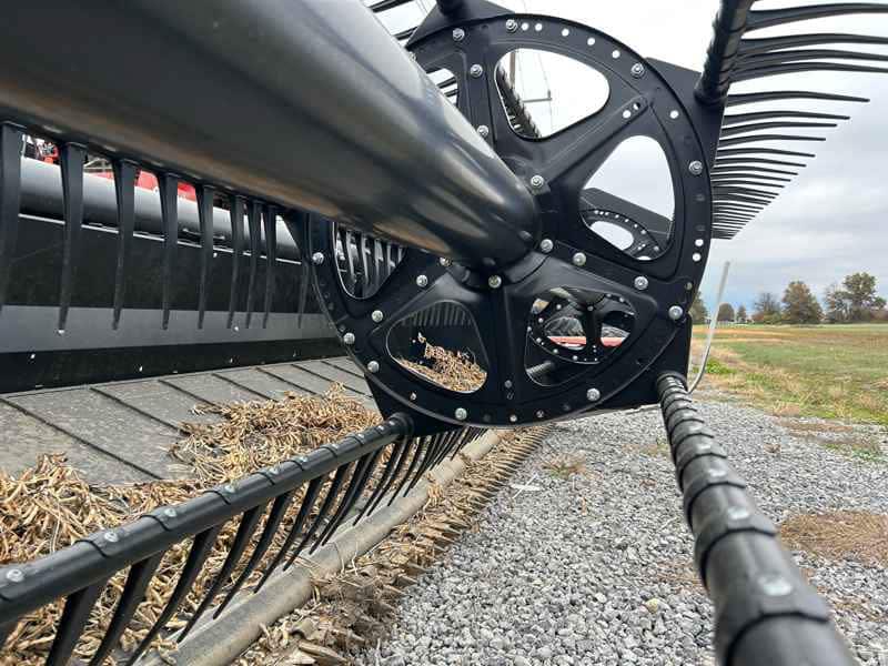 Document generated on 11/18/2025 12:37:16 PM