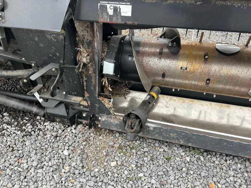 Document generated on 11/18/2025 11:59:16 AM