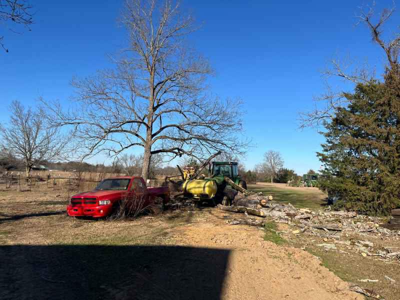 Document generated on 2/13/2026 11:06:05 AM