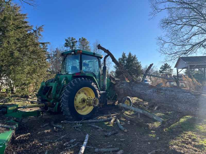 Document generated on 2/13/2026 11:06:05 AM