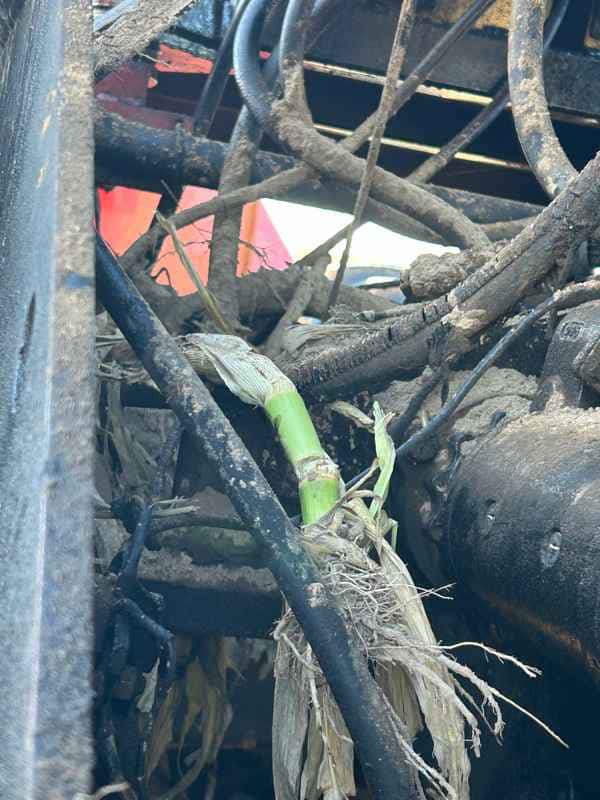 Document generated on 10/23/2025 1:57:56 PM