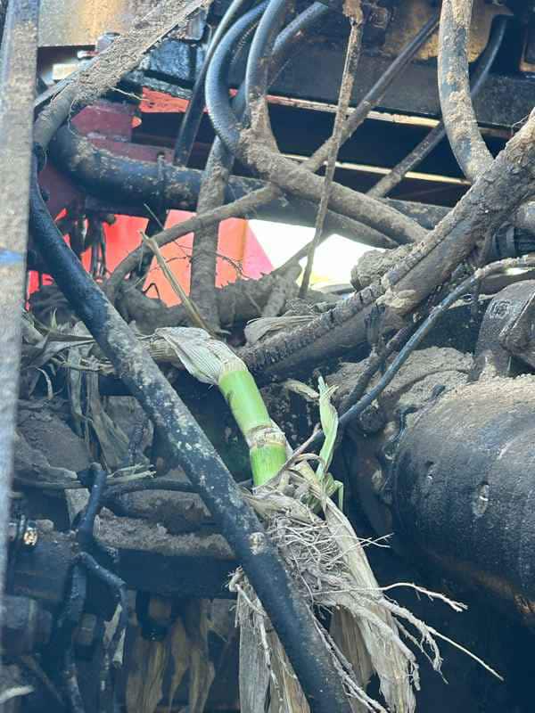 Document generated on 10/23/2025 1:57:56 PM