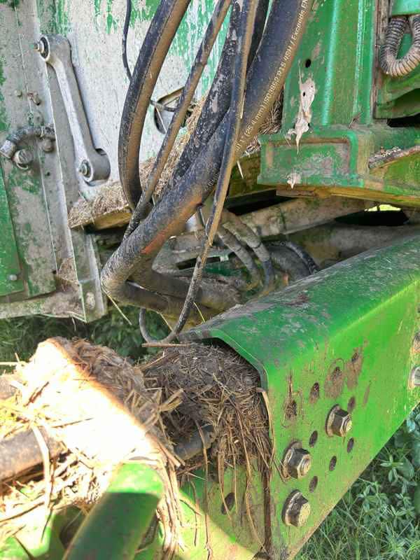 Document generated on 3/13/2026 9:31:22 AM