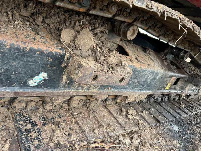 Document generated on 3/5/2026 3:09:19 PM