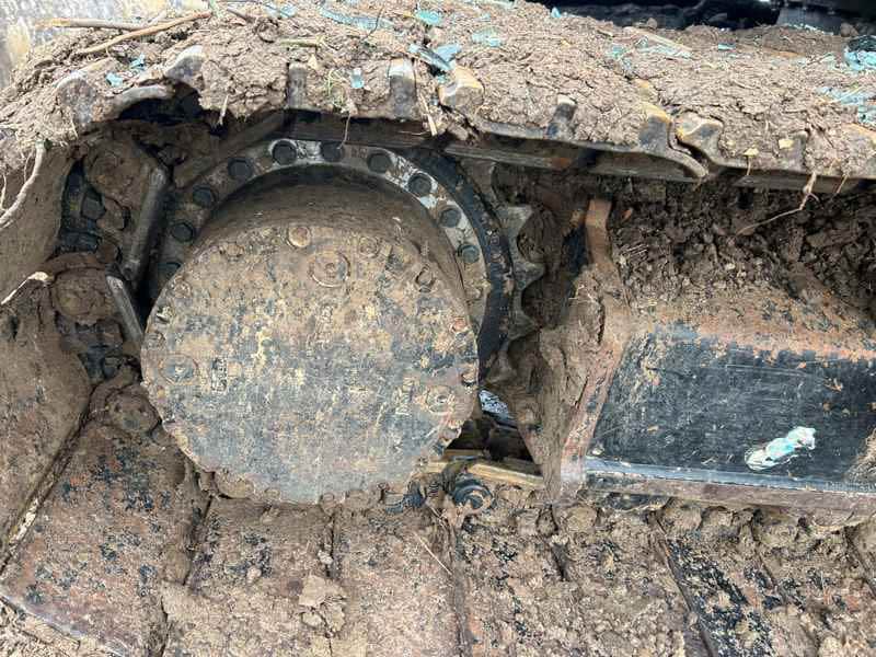 Document generated on 3/5/2026 3:09:19 PM