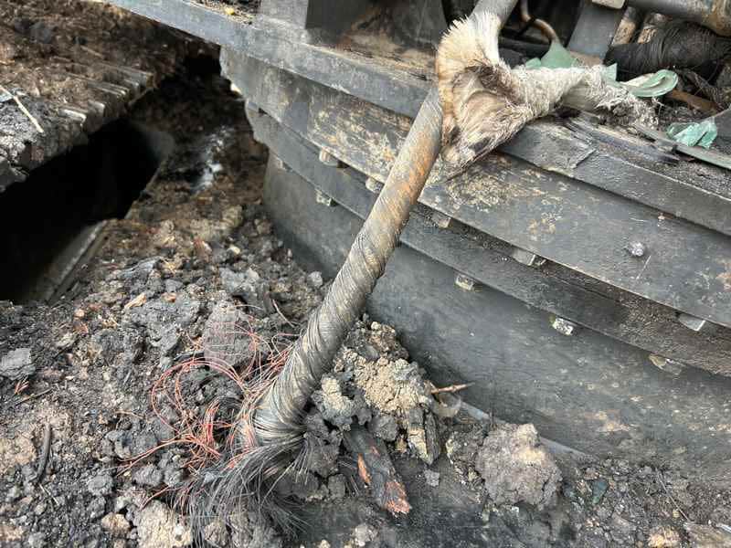 Document generated on 3/5/2026 3:09:19 PM